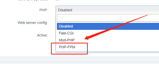 新建网站时选择PHP类型